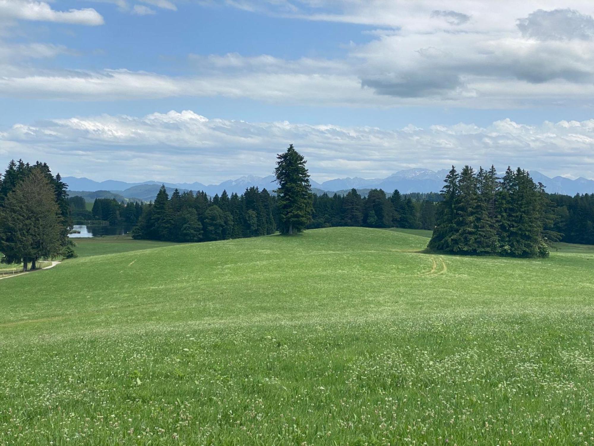 "Allgaeu-Herzl" Alpenchalet Fuer Zwei Ruckholz Esterno foto
